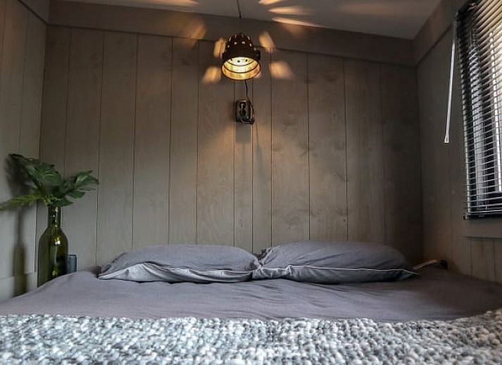 Guest house 322450 - Holiday property Veluwe - Tiny House