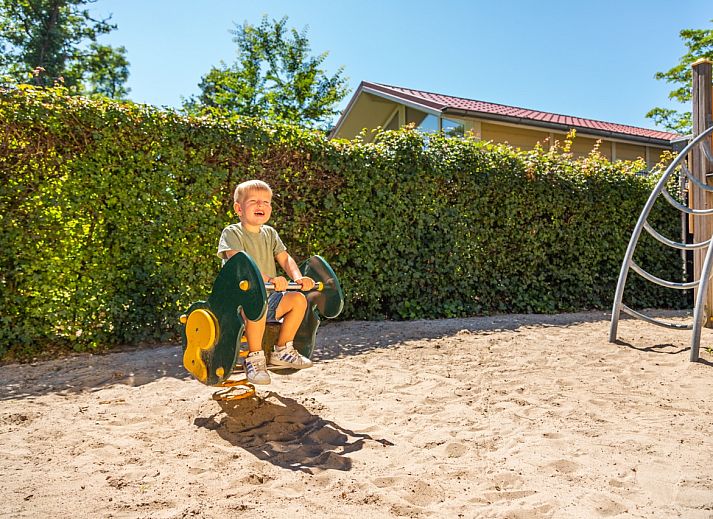 Unterkunft 322479 - Ferienhaus Veluwe - EuroParcs Bad Hoophuizen