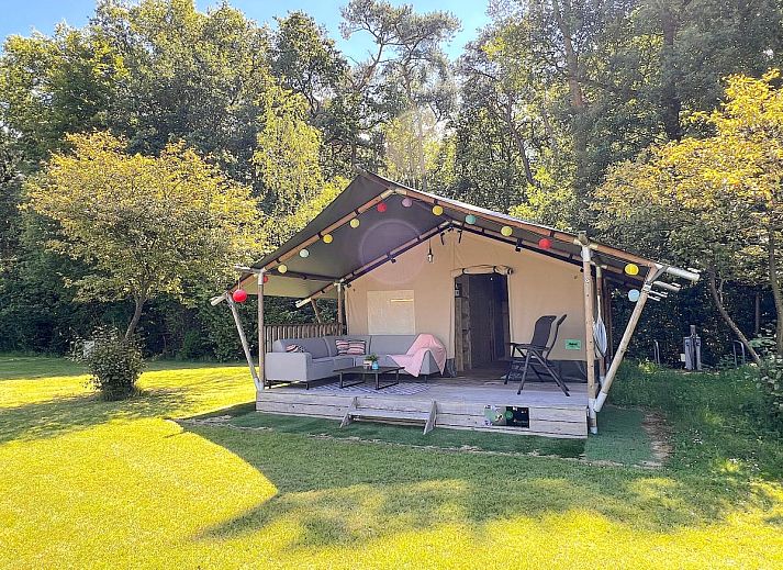 Verblijf 322480 - Tenthuis Veluwe - De Mier