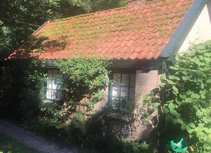 Verblijf 322488 - Vakantiewoning Veluwe - Onder de Bos