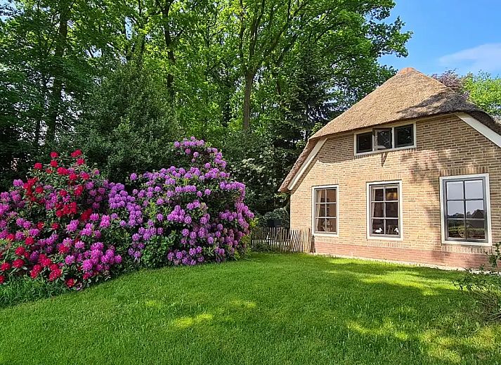 Unterkunft 322490 - Ferienhaus Veluwe - Droomvakantie Veluwe