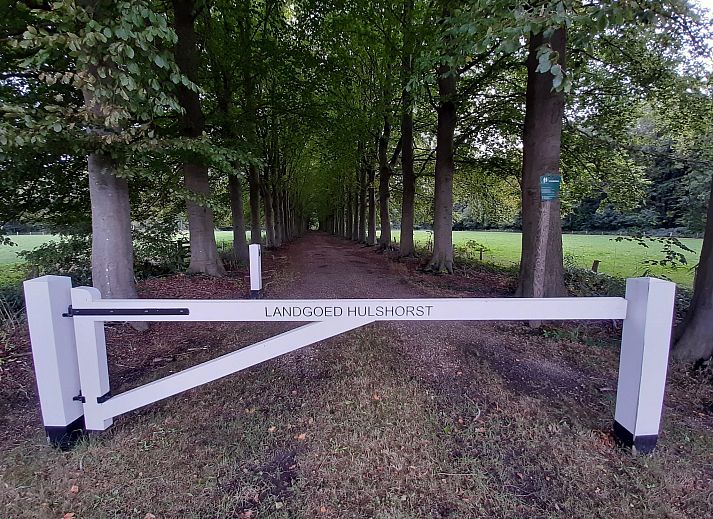 Verblijf 322493 - Vakantiewoning Veluwe - Hulshorsterhout