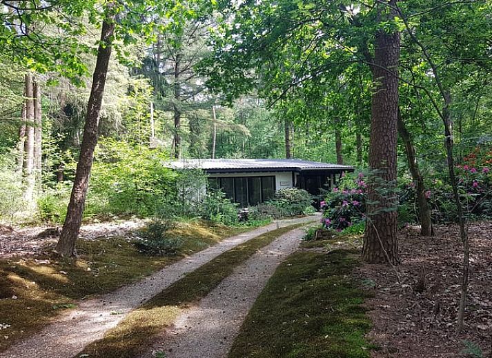 Verblijf 322503 • Chalet Veluwe • Resort De Wije Werelt 1