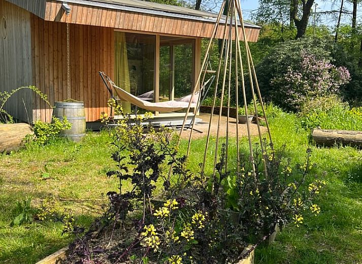 Cozy interior of Cottage in Otterlo with colorful decoration, located in Otterlo, Veluwe, Gelderland.