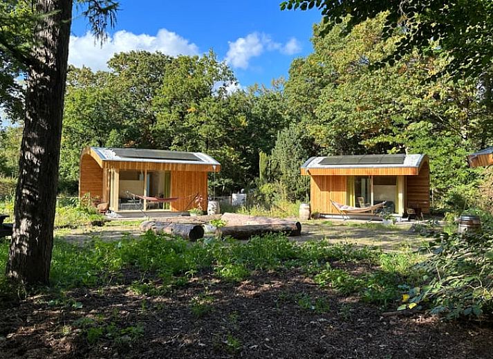 Cozy interior of Cottage in Otterlo with colorful decoration, located in Otterlo, Veluwe, Gelderland.