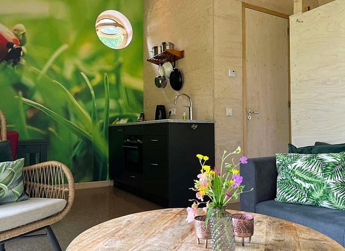 Cozy interior of Cottage in Otterlo with colorful decoration, located in Otterlo, Veluwe, Gelderland.
