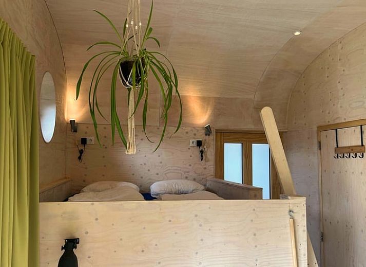 Nature views and wooden cottages from Huisje in Otterlo, located in Otterlo, Veluwe, Gelderland.