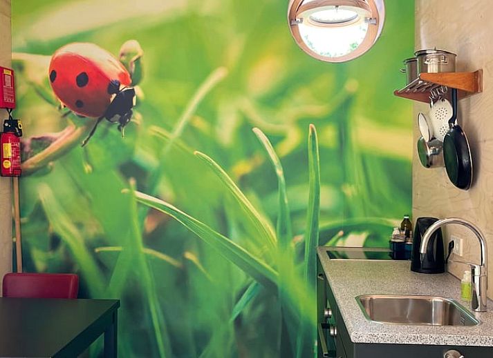 Nature views and wooden cottages from Huisje in Otterlo, located in Otterlo, Veluwe, Gelderland.