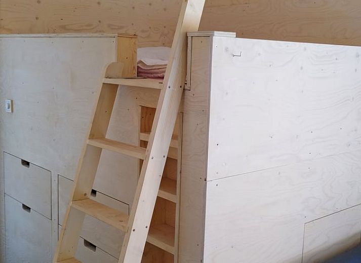 Fresh bouquet of flowers in the living room of Huisje in Otterlo, a vacation home in Otterlo, Veluwe, Gelderland.