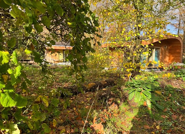 Fresh bouquet of flowers in the living room of Huisje in Otterlo, a vacation home in Otterlo, Veluwe, Gelderland.