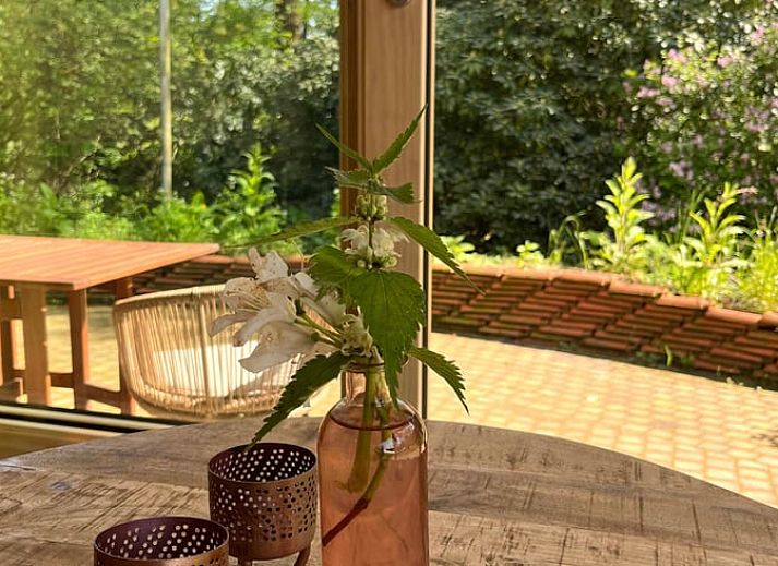 Modern kitchen and sitting area in Cottage in Otterlo, a vacation accommodation in Otterlo, Veluwe, Gelderland.