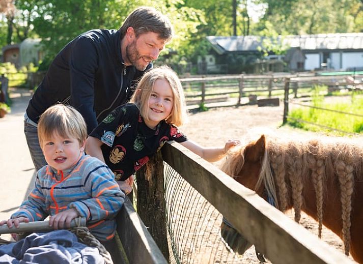 Sunny terrace at Cottage in Otterlo, perfect for relaxation in Otterlo, Veluwe, Gelderland.