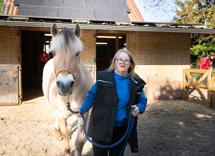 Sunny terrace at Cottage in Otterlo, perfect for relaxation in Otterlo, Veluwe, Gelderland.