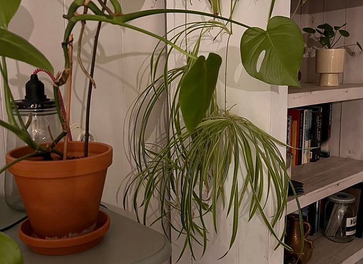 Gezellige woonkamer van Vakantiehuisje in Otterlo, Veluwe, met comfortabele bank en sfeervolle verlichting.