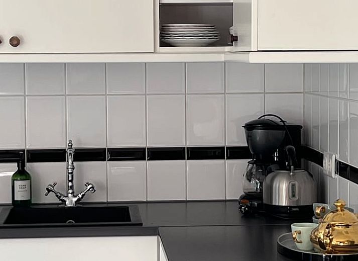 Groene planten en boekenplank in Vakantiehuisje in Otterlo, Veluwe, voor een huiselijke sfeer.