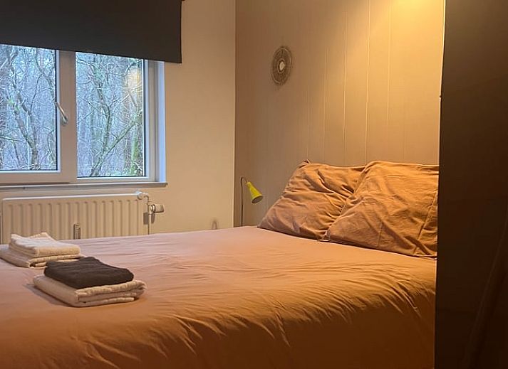 Groene planten en boekenplank in Vakantiehuisje in Otterlo, Veluwe, voor een huiselijke sfeer.