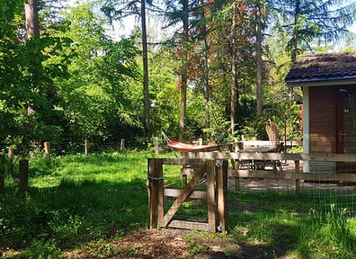 Gemuetliches Wohnzimmer im Cottage in Otterlo an der Veluwe, Ferienhaus in Gelderland mit Blick auf den Wald.