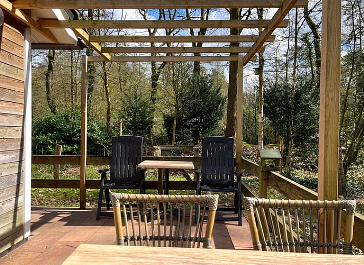 Aussenbereich von Cottage in Otterlo, Ferienhaus in Veluwe, Gelderland mit gruenem Garten und Haengematte.