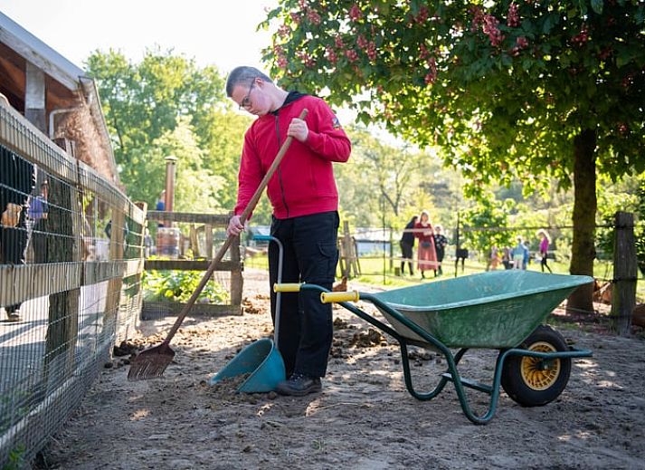 Gruenes Gewaechshaus im Cottage in Otterlo, Ferienunterkunft in der Veluwe, Gelderland, umgeben von Sonnenblumen und Kraeutern.