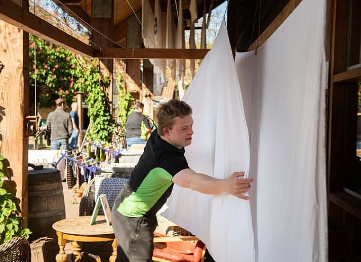 Kinder spielen mit Schweinen im Cottage in Otterlo, Ferienunterkunft in Veluwe, Gelderland, ideal fuer Familien.