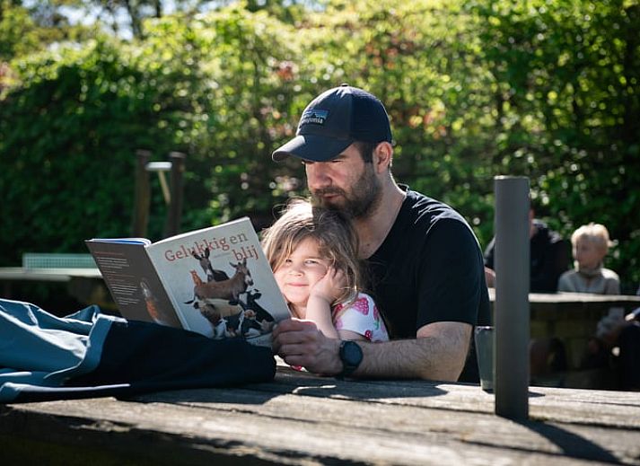 Kinder spielen mit Schweinen im Cottage in Otterlo, Ferienunterkunft in Veluwe, Gelderland, ideal fuer Familien.