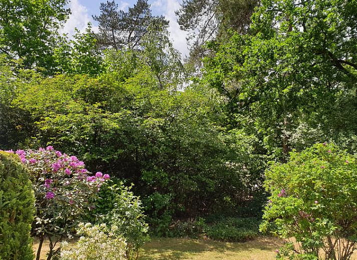 Gezellige woonkamer in Vakantiehuis in Otterlo, Veluwe, met comfortabele zitruimte en raam met uitzicht.