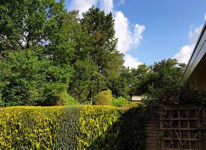 Gezellige woonkamer in Vakantiehuis in Otterlo, Veluwe, met comfortabele zitruimte en raam met uitzicht.
