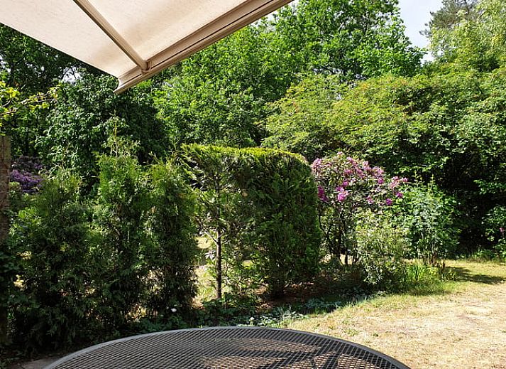 Gezellige woonkamer in Vakantiehuis in Otterlo, Veluwe, met comfortabele zitruimte en raam met uitzicht.