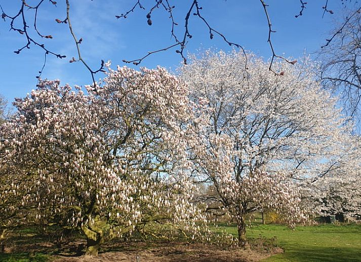 Gezellige woonkamer in Vakantiehuis in Otterlo, Veluwe, met comfortabele zitruimte en raam met uitzicht.