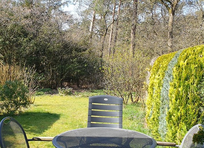 Stijlvolle woonkamer van Vakantiehuis in Otterlo, Veluwe, ideaal voor ontspanning en gezelligheid.