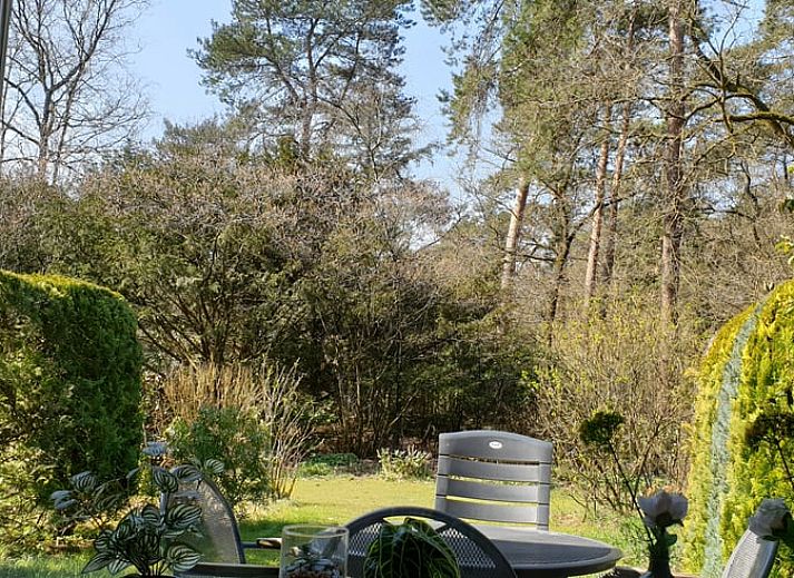 Stijlvolle woonkamer van Vakantiehuis in Otterlo, Veluwe, ideaal voor ontspanning en gezelligheid.