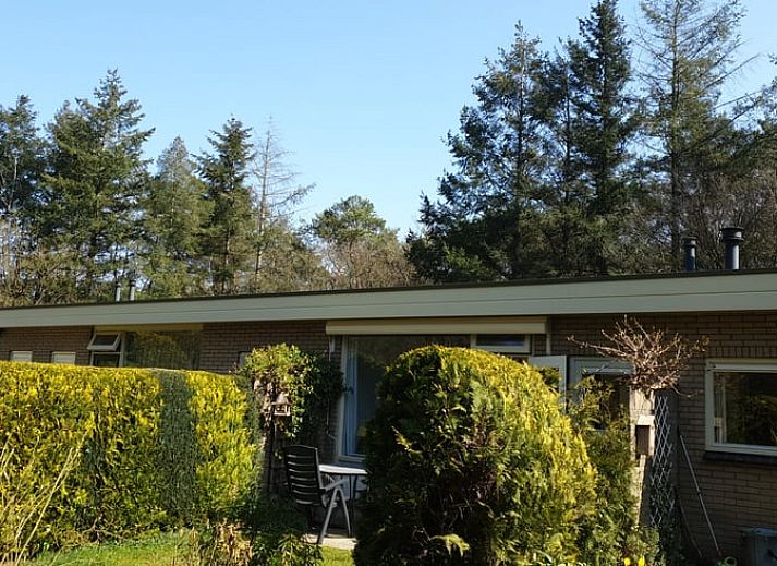 Stijlvolle woonkamer van Vakantiehuis in Otterlo, Veluwe, ideaal voor ontspanning en gezelligheid.