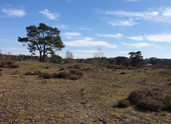 Moderne keuken in Vakantiehuis in Otterlo, Veluwe, volledig uitgerust voor een comfortabel verblijf.