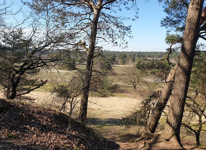 Moderne keuken in Vakantiehuis in Otterlo, Veluwe, volledig uitgerust voor een comfortabel verblijf.