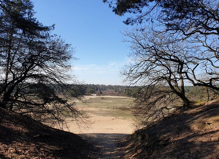 Moderne keuken in Vakantiehuis in Otterlo, Veluwe, volledig uitgerust voor een comfortabel verblijf.