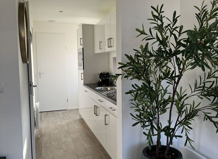 Chalet in Otterlo, Veluwe, Gelderland, vacation home with terrace and garden in natural surroundings.