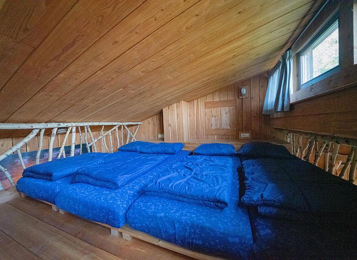 Verblijf 3225187 - Vakantiewoning Veluwe - Nature Lodge