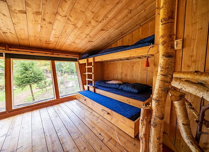 Guest house 3225193 - Holiday property Veluwe - Nature Lodge