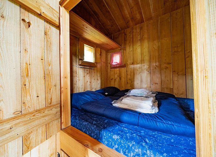 Guest house 3225193 - Holiday property Veluwe - Nature Lodge