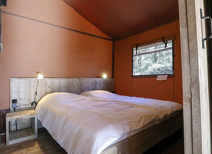 Guest house 3225200 - Tent house Veluwe - Lodgetent