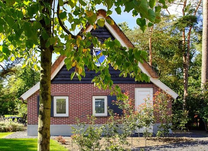 Vakantiehuis Geheim van Otterlo 6 in Otterlo, Veluwe, Gelderland met charmante voorgevel omgeven door groen.
