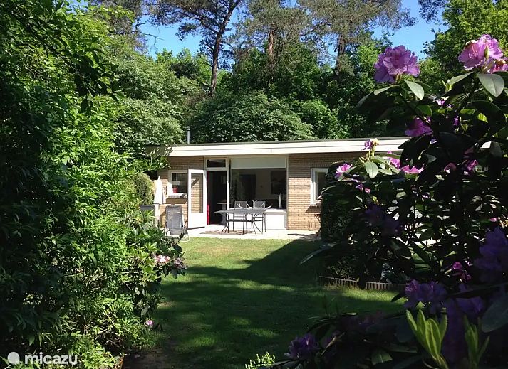 Unterkunft 3225224 - Ferienhaus Veluwe - Boshuisje Veluwe Natuurpark Hoefbos