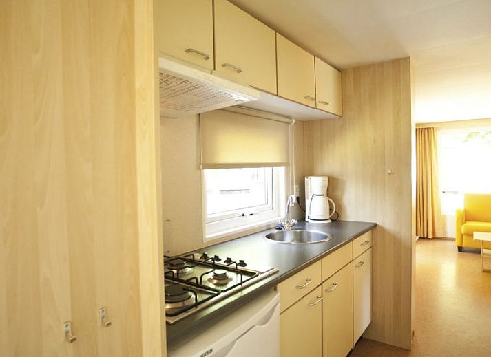 Binnenzwembad bij Vakantiehuis Unique 4 in Otterlo, Veluwe, ideaal voor ontspanning en recreatie.