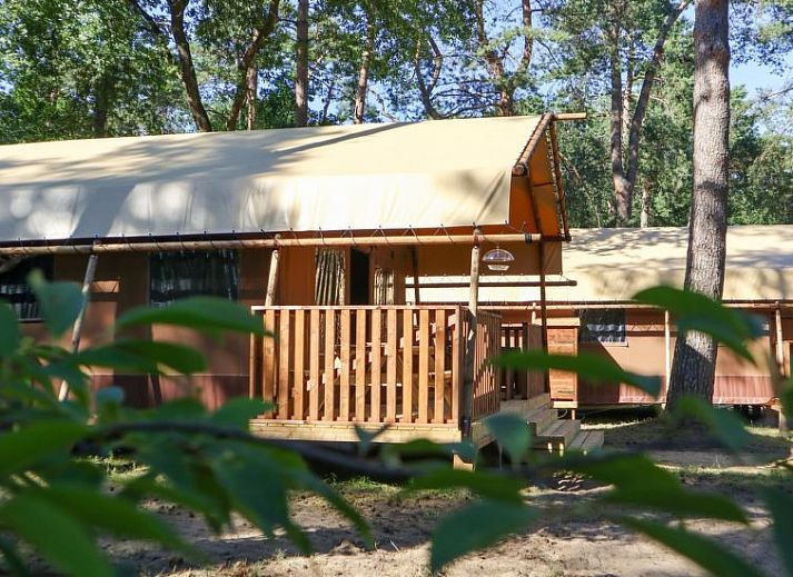 Verblijf 3225241 • Vakantiewoning Veluwe • Vakantiehuis Lodgetent 2