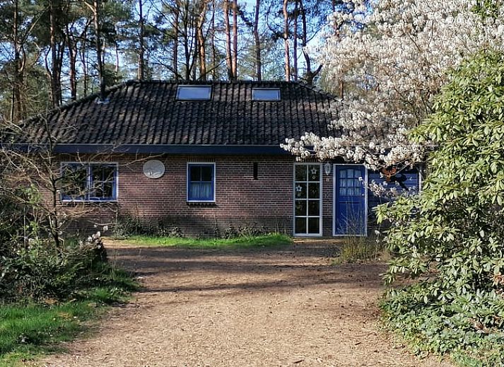 Verblijf 322525 • Vakantiewoning Veluwe • Natuurhuisje in Otterlo