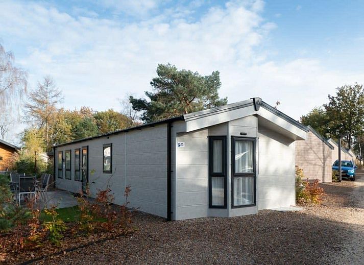 Unterkunft 3225257 - Ferienhaus Veluwe - Berkel