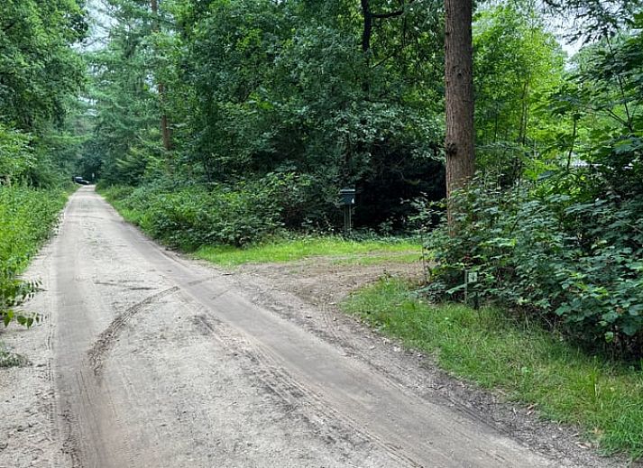 Vakantiehuis in Otterlo op de Veluwe, Gelderland, omgeven door natuur met een uitnodigend terras en comfortabele ligstoelen.