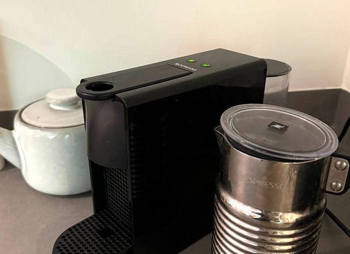 Rustiek pad naar Vakantiehuis in Otterlo, Veluwe, omgeven door weelderige natuur in Gelderland, perfecte ontsnapping in de bossen.