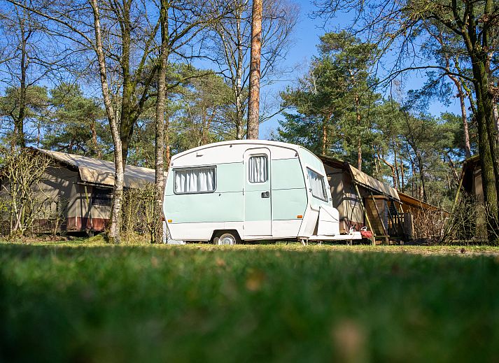Guest house 3225317 • Holiday property Veluwe • Kampeerplaats Standaard