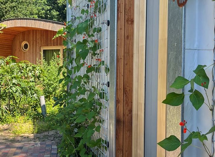 Gezellige woonkamer in Vakantiehuis in Otterlo, Veluwe, Gelderland met comfortabele zithoek en houten interieur.